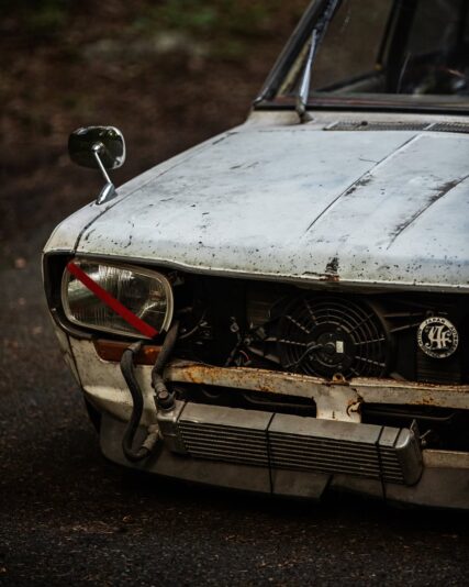 SnapInsta.to_347241346_6140785675977140_7653567278351858408_n